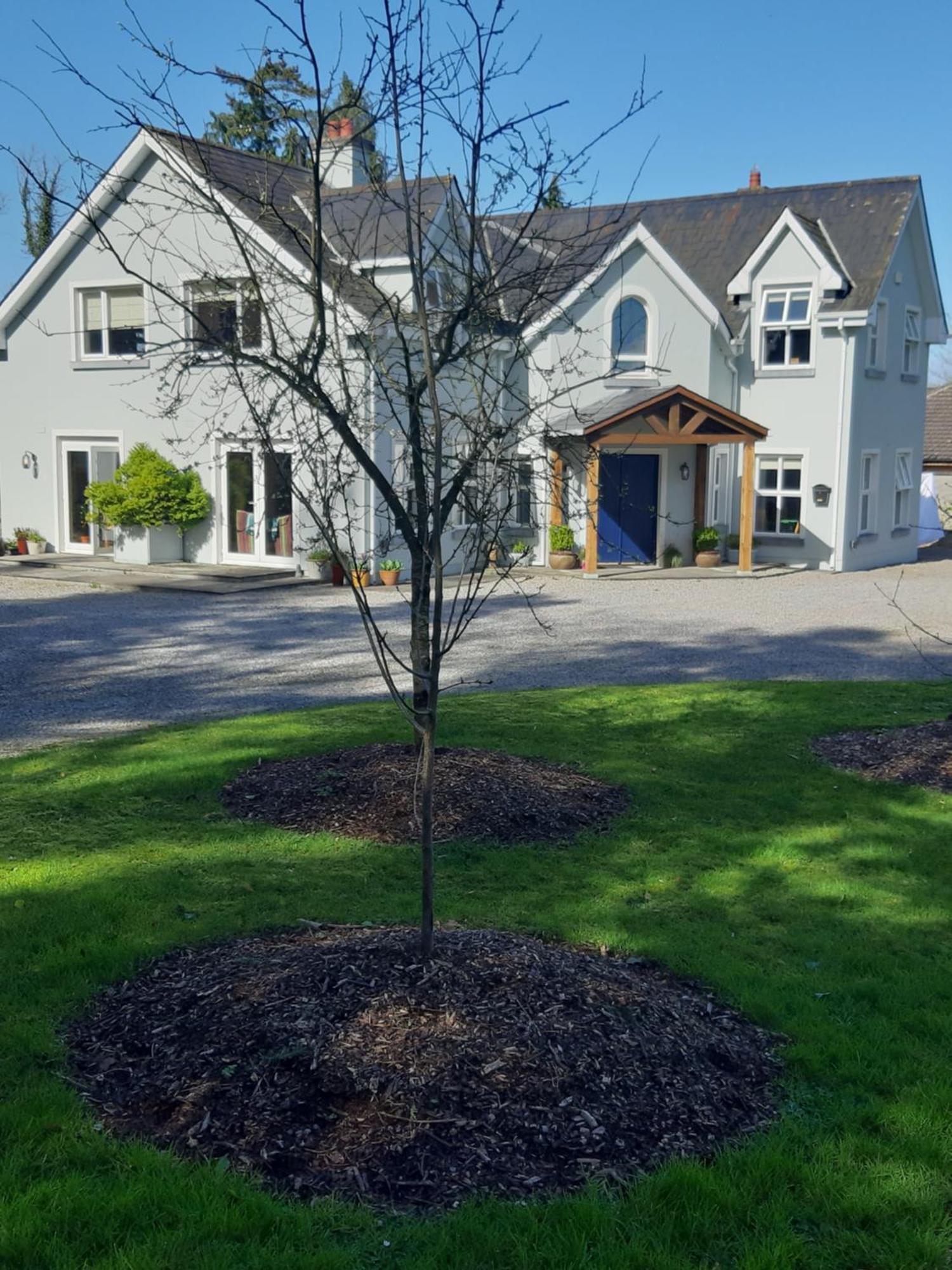 Kyleard Ryan Monasterevin Exterior foto